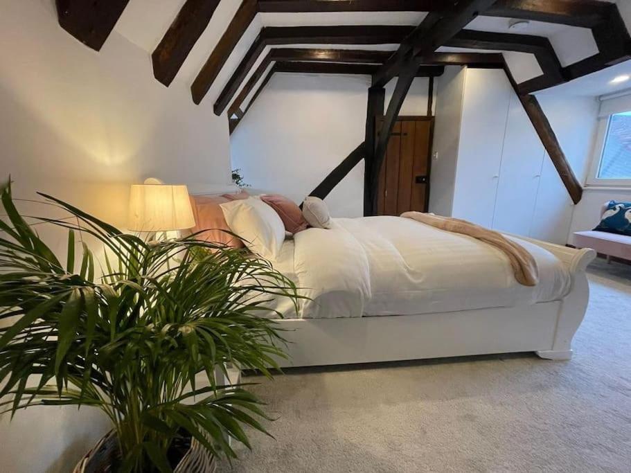 Rural Country Suites - Judge'S Lodge East Grinstead Ngoại thất bức ảnh